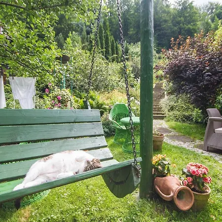 Willa Frühstückspension 3*