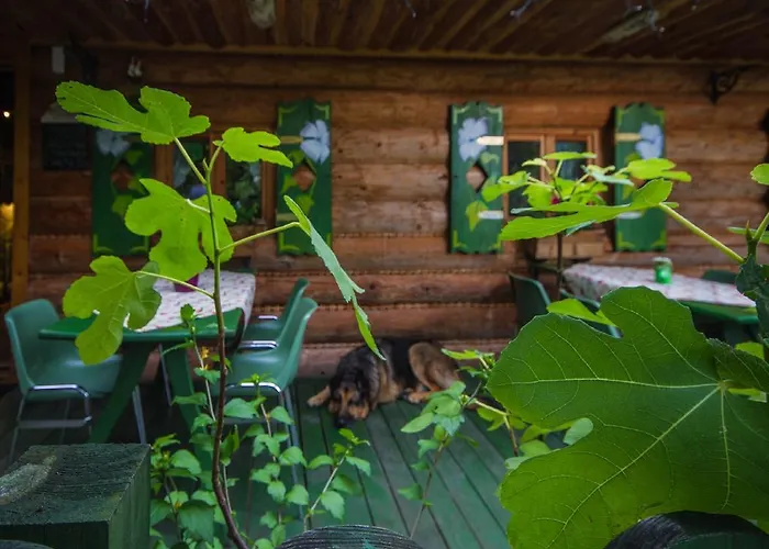 Willa Отель типа 